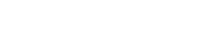Flerfi